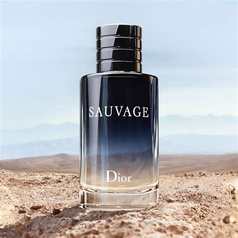 sauvage dior notes|dior sauvage types.